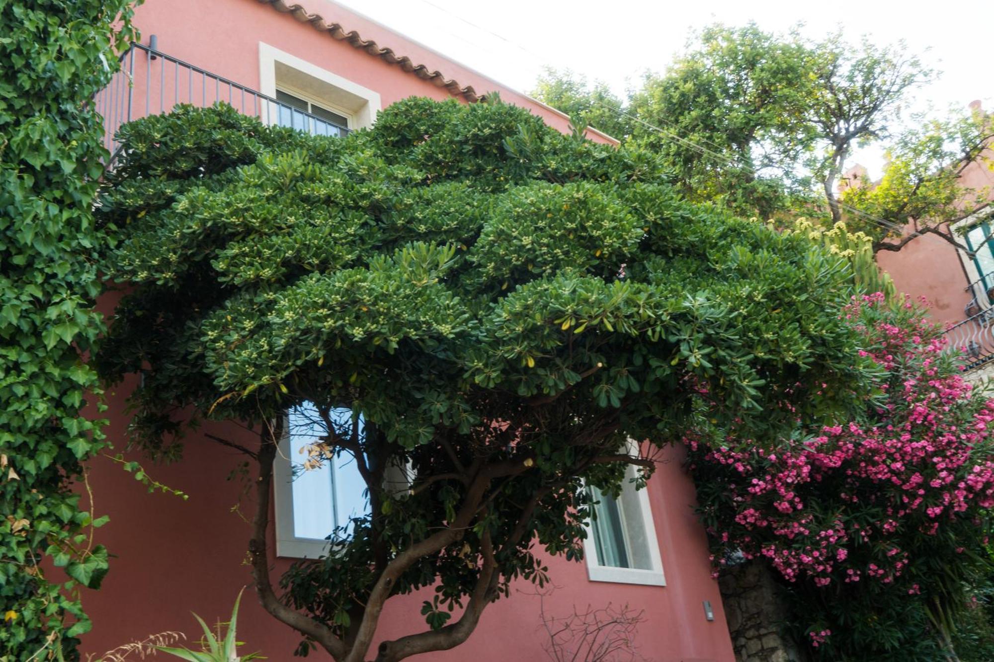 The Charming House Lägenhet Taormina Exteriör bild